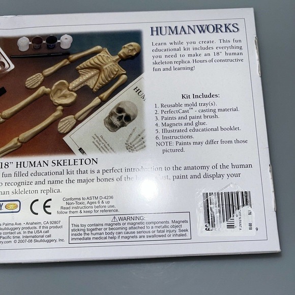 Human Works 18" Human Skeleton Hand On Learning Modeling Kit Eyewitness Kits NEW - Picture 6 of 6
